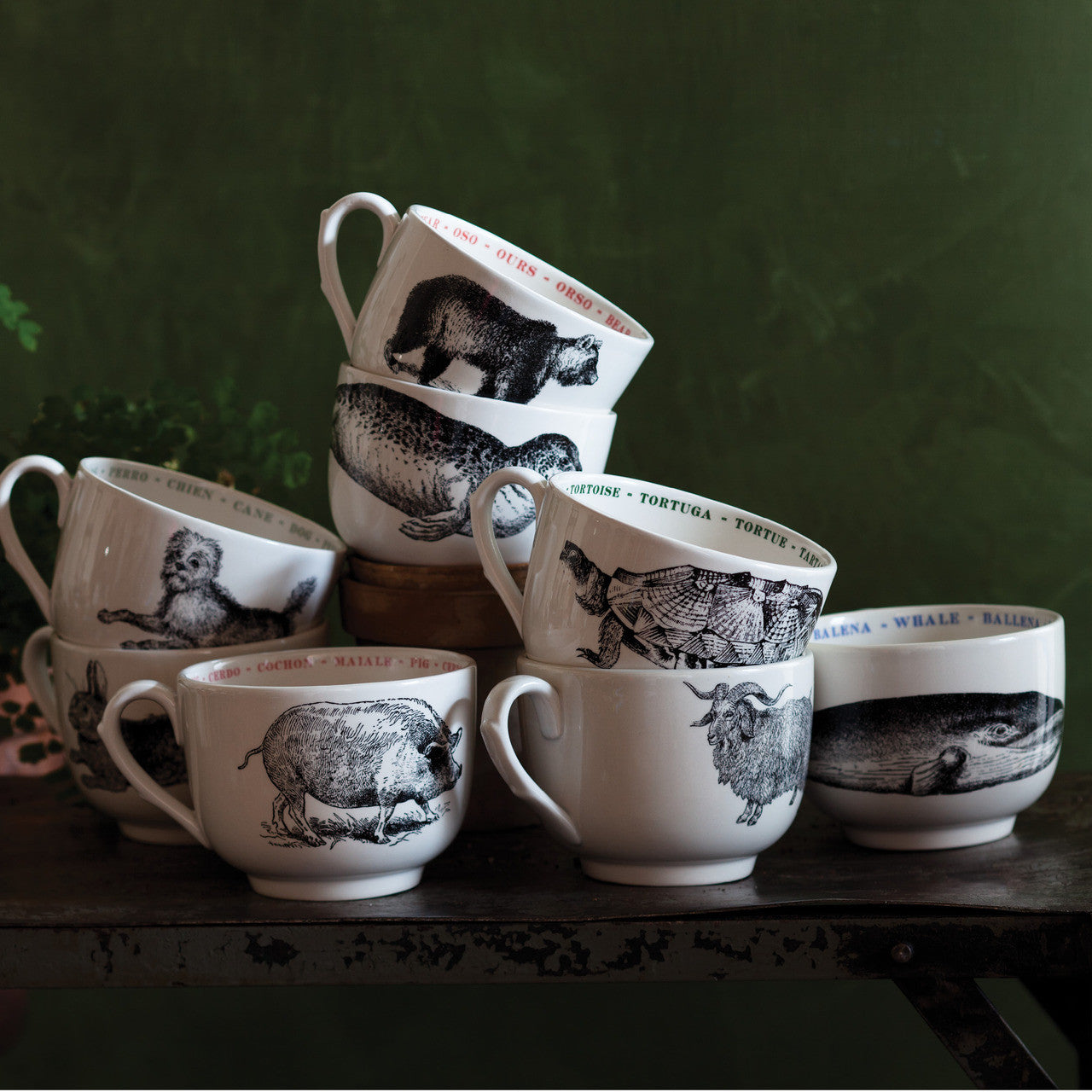 Alligator Fauna Grand Cup