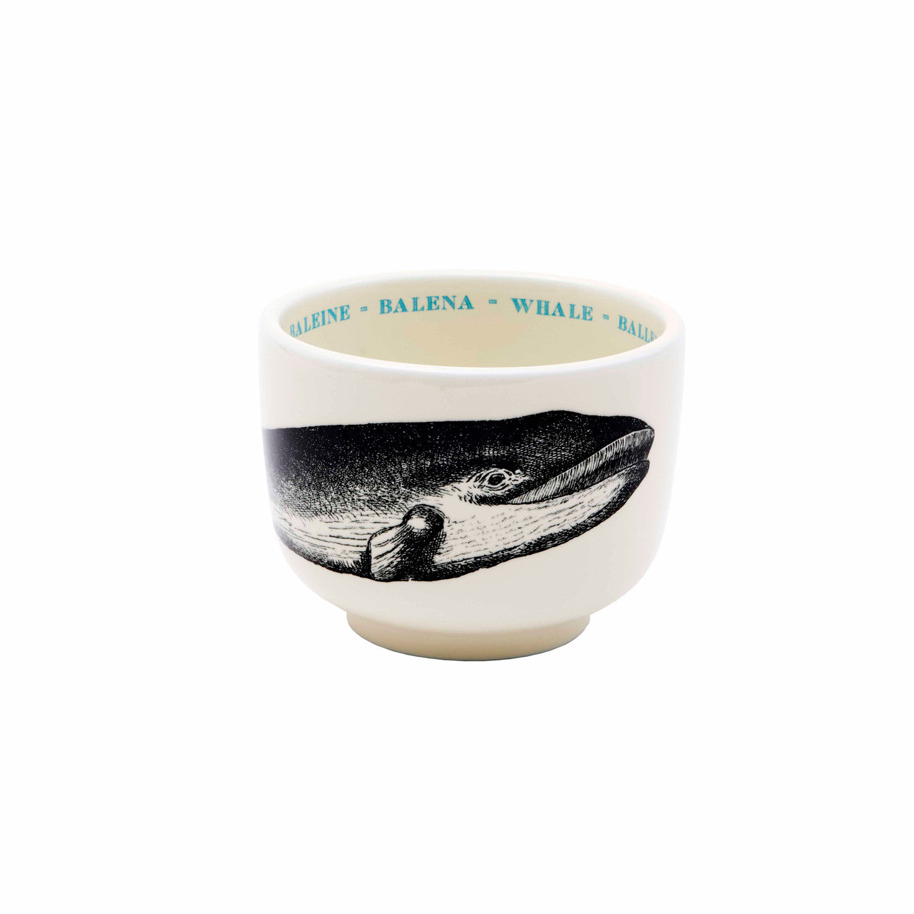 Whale Fauna Grand Cup