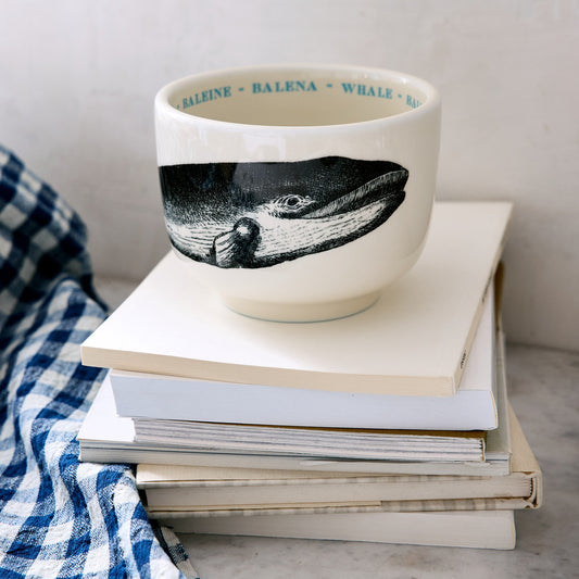 Whale Fauna Grand Cup