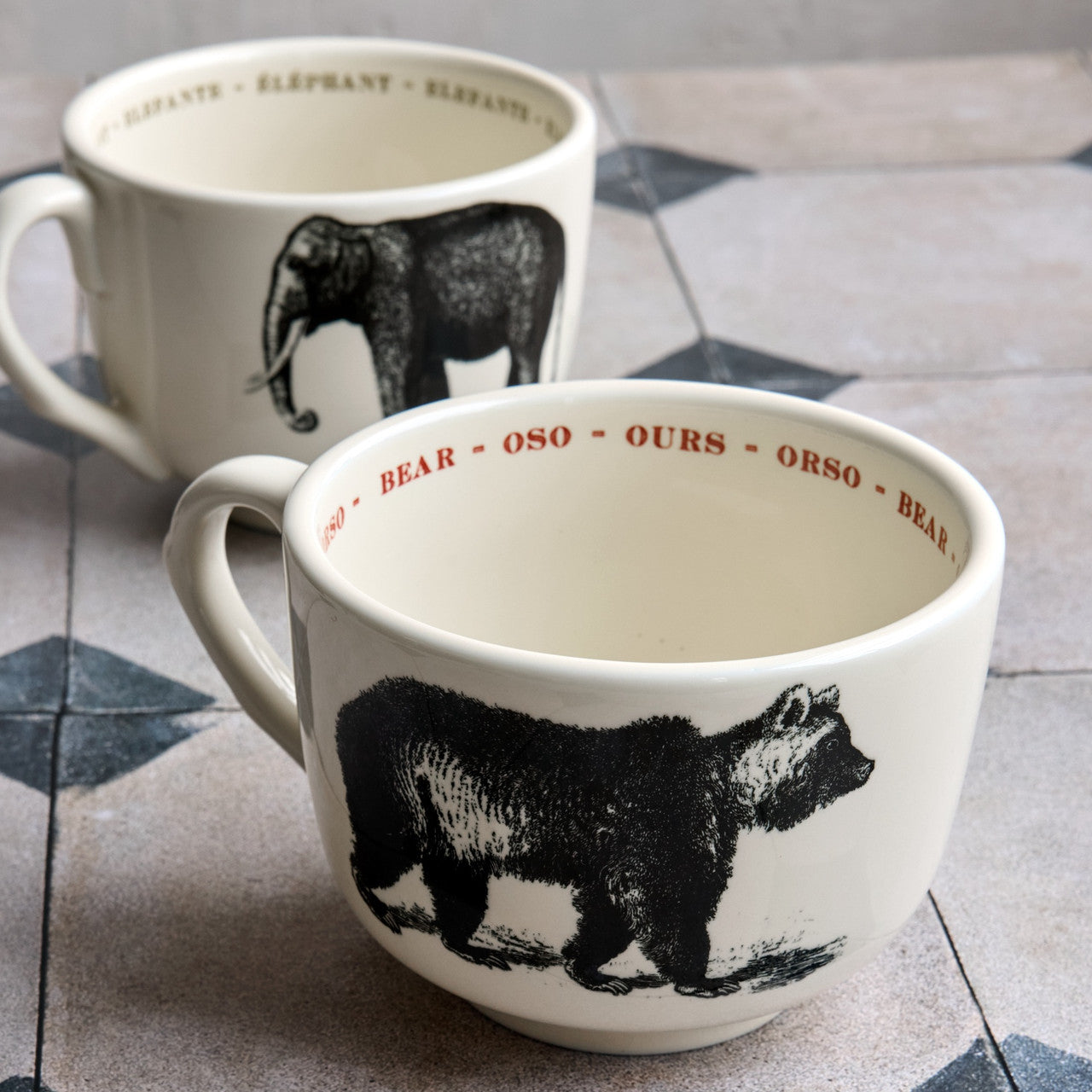 Bear Fauna Grand Cup