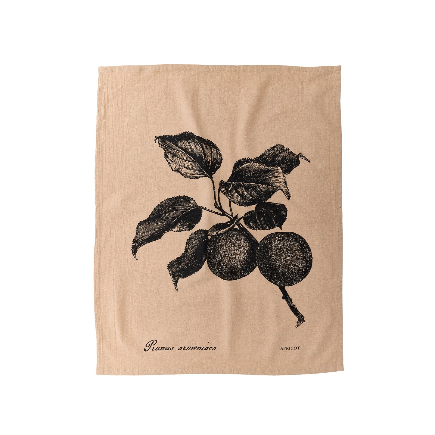 Flour Sack Towels, Orchard, Set/3