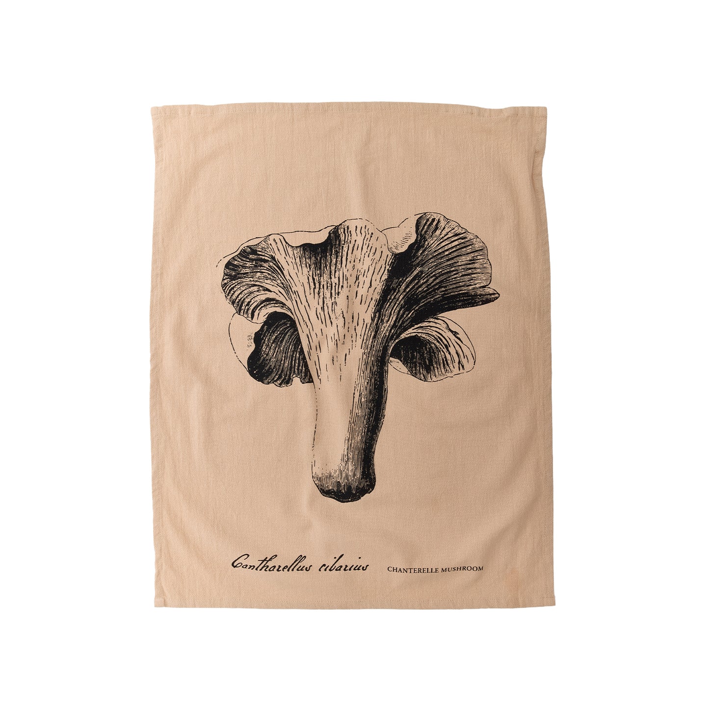 Flour Sack Towels, Spore, Set/3