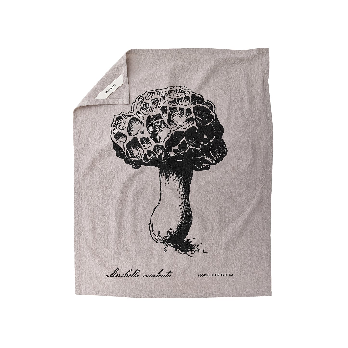 Flour Sack Towels, Spore, Set/3