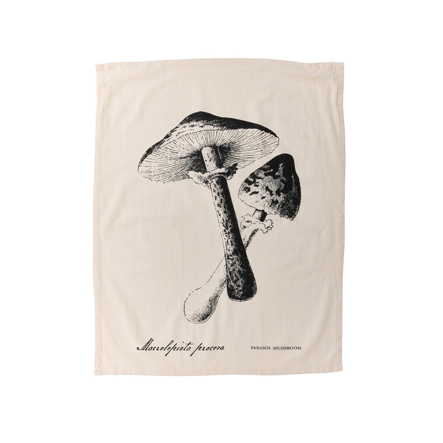 Flour Sack Towels, Spore, Set/3