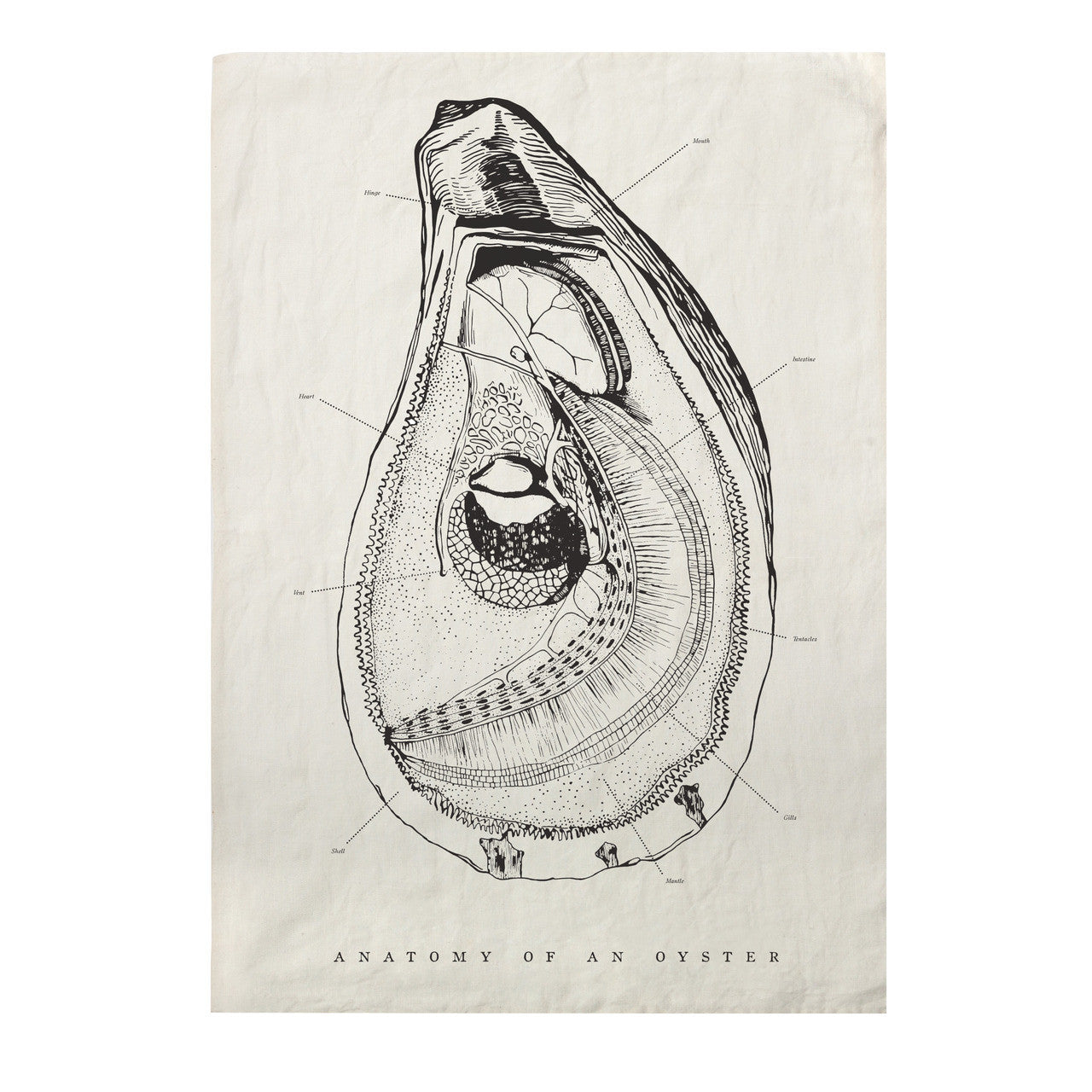 Oyster Anatomy Pure Linen Tea Towel