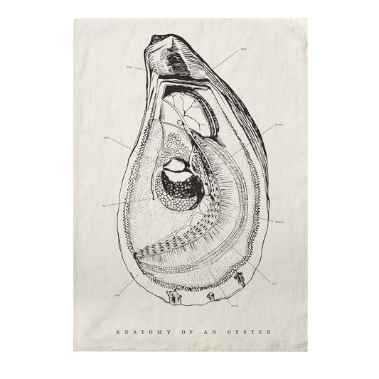 Oyster Anatomy Pure Linen Tea Towel